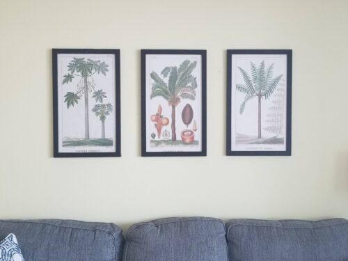 Living room in Marco Apollo 1001 adorned with tropical botanical prints, creating a serene island-inspired ambiance.